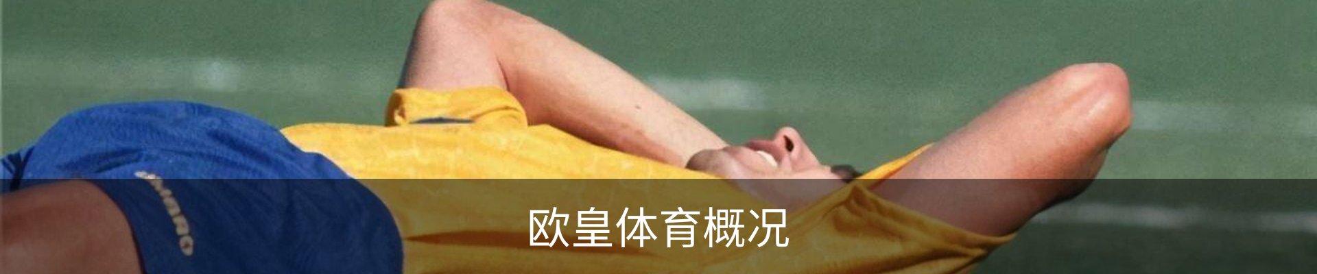 欧皇体育概况